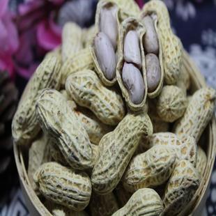 福清平潭太阳晒干水煮白晒原味花生咸干花生连江本地农家晒干