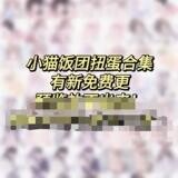 2000张小猫饭团扭蛋 小猫煎蛋扭蛋 雪团团原创头像 小猫饭团图包