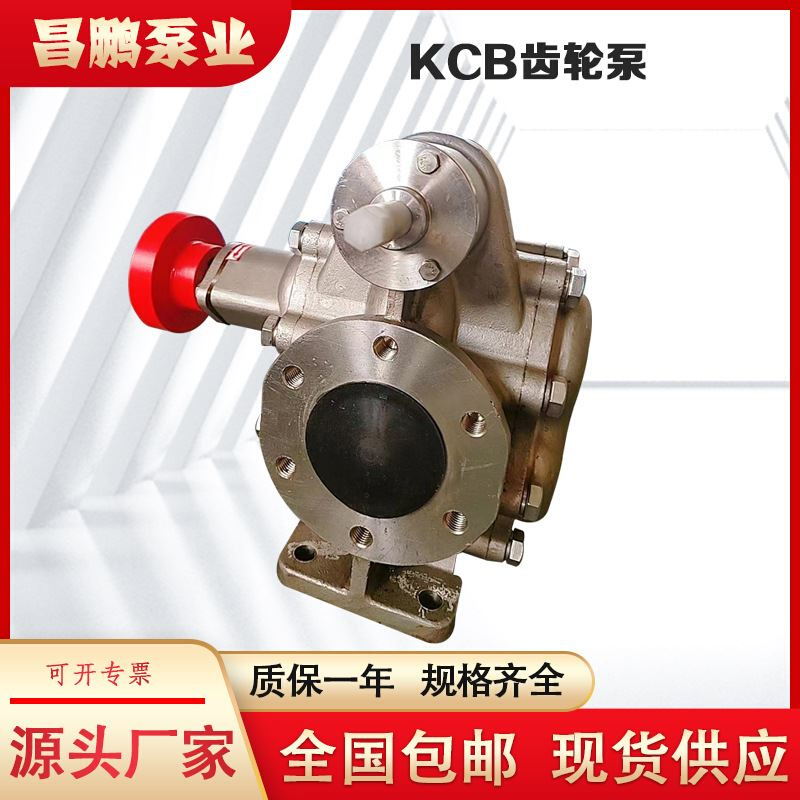 KCB300不锈钢齿轮泵大流量防爆抽油泵化工食品输送泵酒糟电动泵
