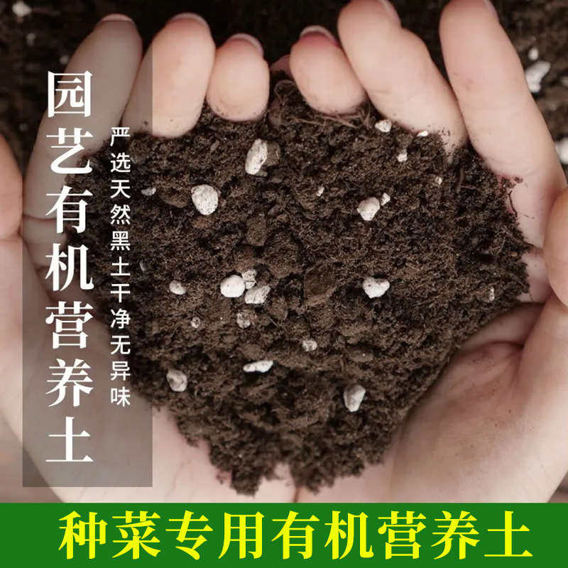 思威博营养土种菜养花泥土泥炭土蔬菜种花土砖家用肥料种植土壤椰