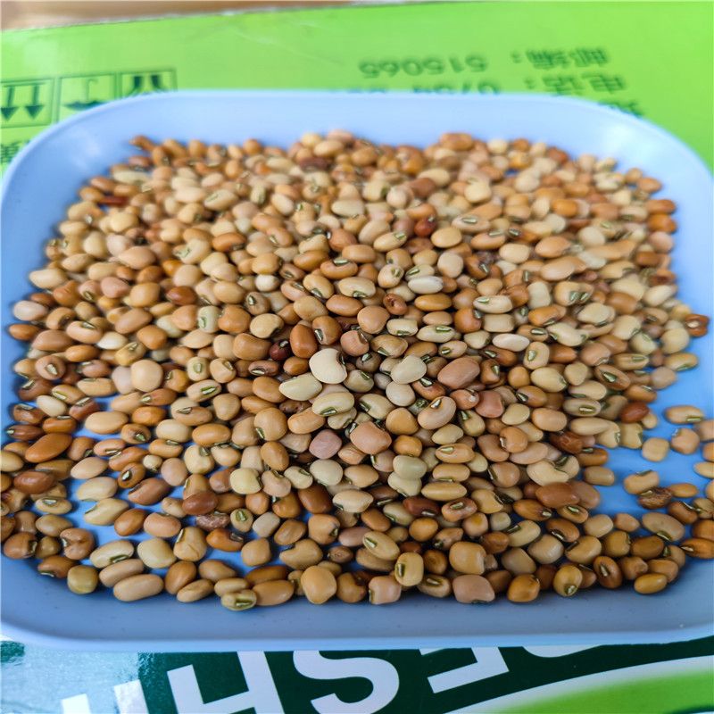 客家赤豆缸豆新赤豆东北赤豆擂茶配菜粗粮客家茶菜陆河擂茶配料