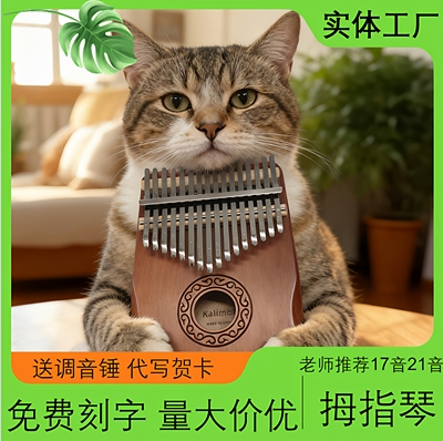 高颜值21音乐器手指拇拇指琴钢琴木制乐器木质实木便携式卡林巴琴