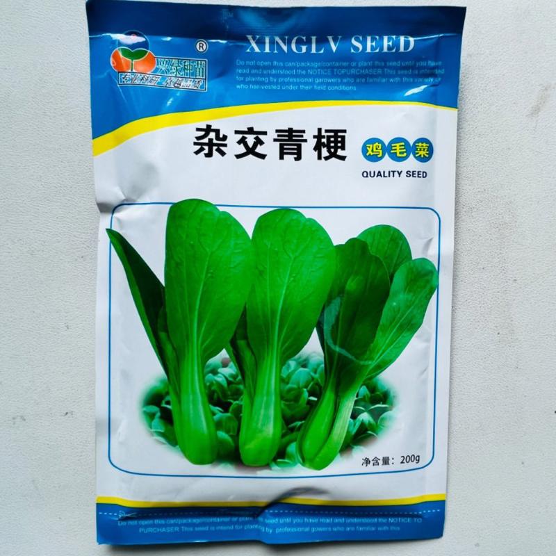 杂交青梗鸡毛种子上海青青速生油菜四季阳台蔬菜种子