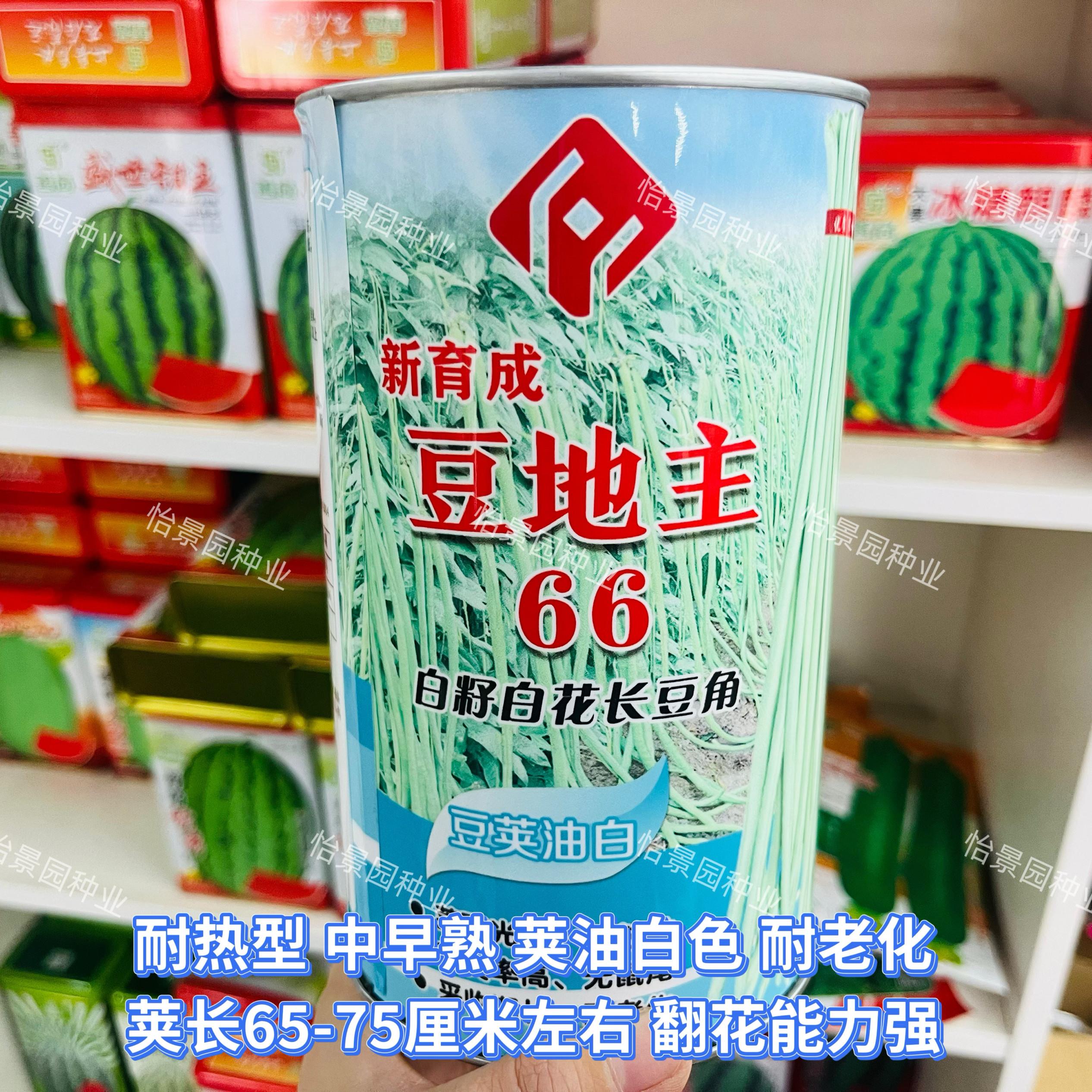 豆地主66油白长豆角种子耐热好白籽白花豇豆无鼠尾双荚率高甜豆角