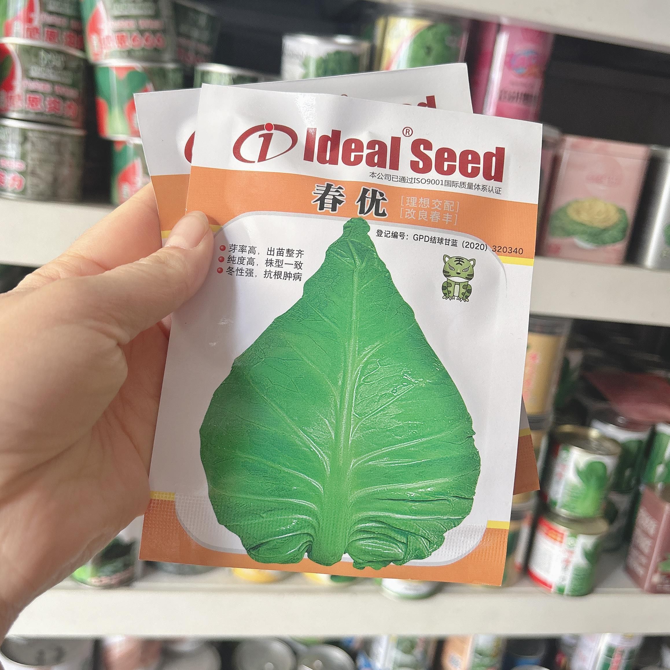 理想春优牛心甘蓝种子早中熟秋播耐寒冬性强越冬牛心包菜蔬菜种子
