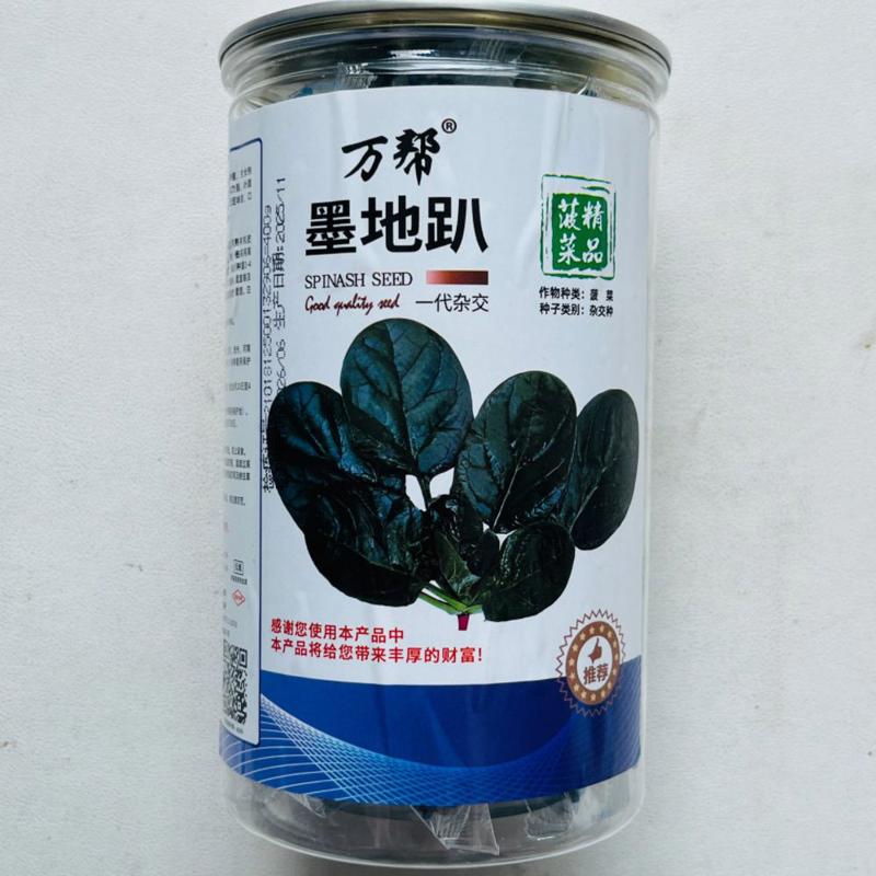 万帮菠菜墨地种子耐寒杂交农家叶厚春秋一代涩味抗病种籽早熟高产