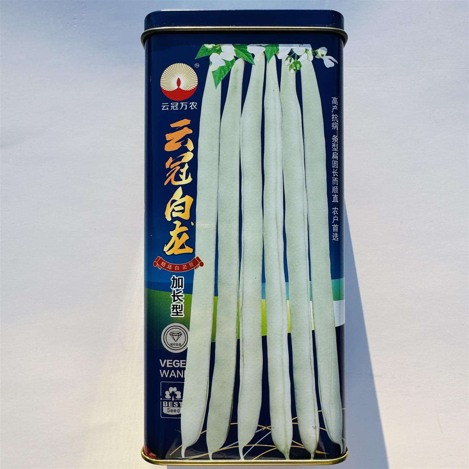 云冠白龙加长型白芸豆种子 高产抗病白豆角 扁圆顺直四季豆蔬菜种