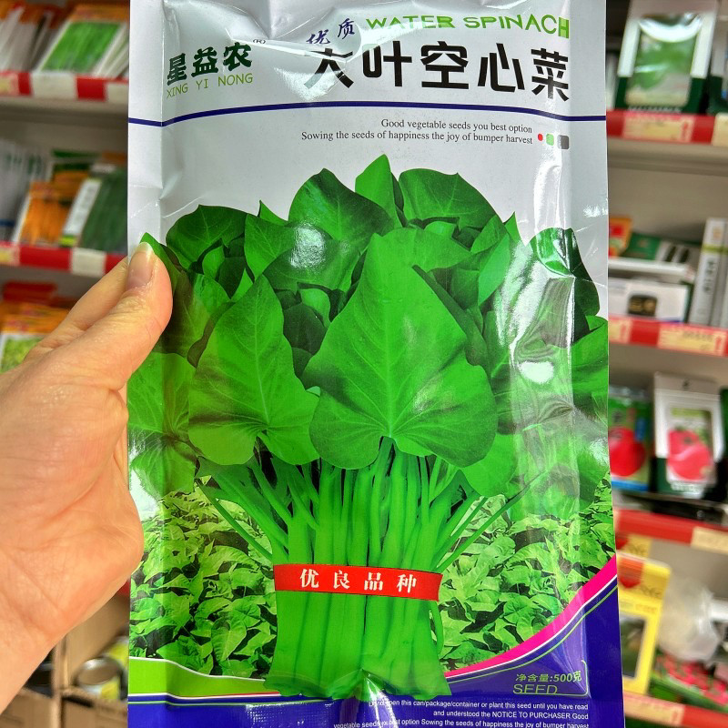 大叶空心菜种籽双机泰国空心菜种子春夏秋季水培旱地可播蔬菜种孑