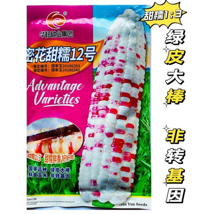 莲花糯彩12号甜糯香甜玉米种子抗病高产大田鲜食玉米种国审农用