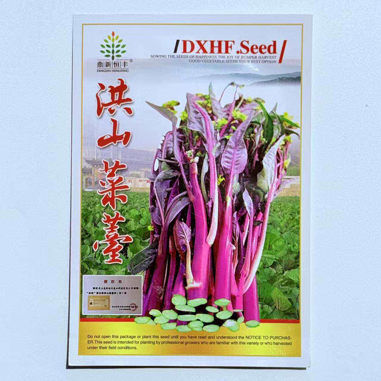 洪山菜苔种子紫菜苔种籽中熟特粗杆梗茎青菜秋季播种