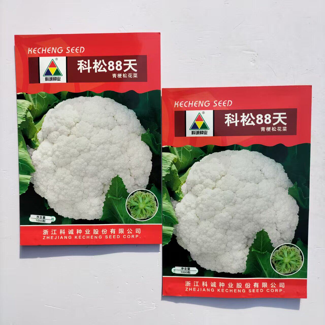 科松88天青梗松花菜种子中熟耐寒耐热抗病矮脚花球松大小米粒