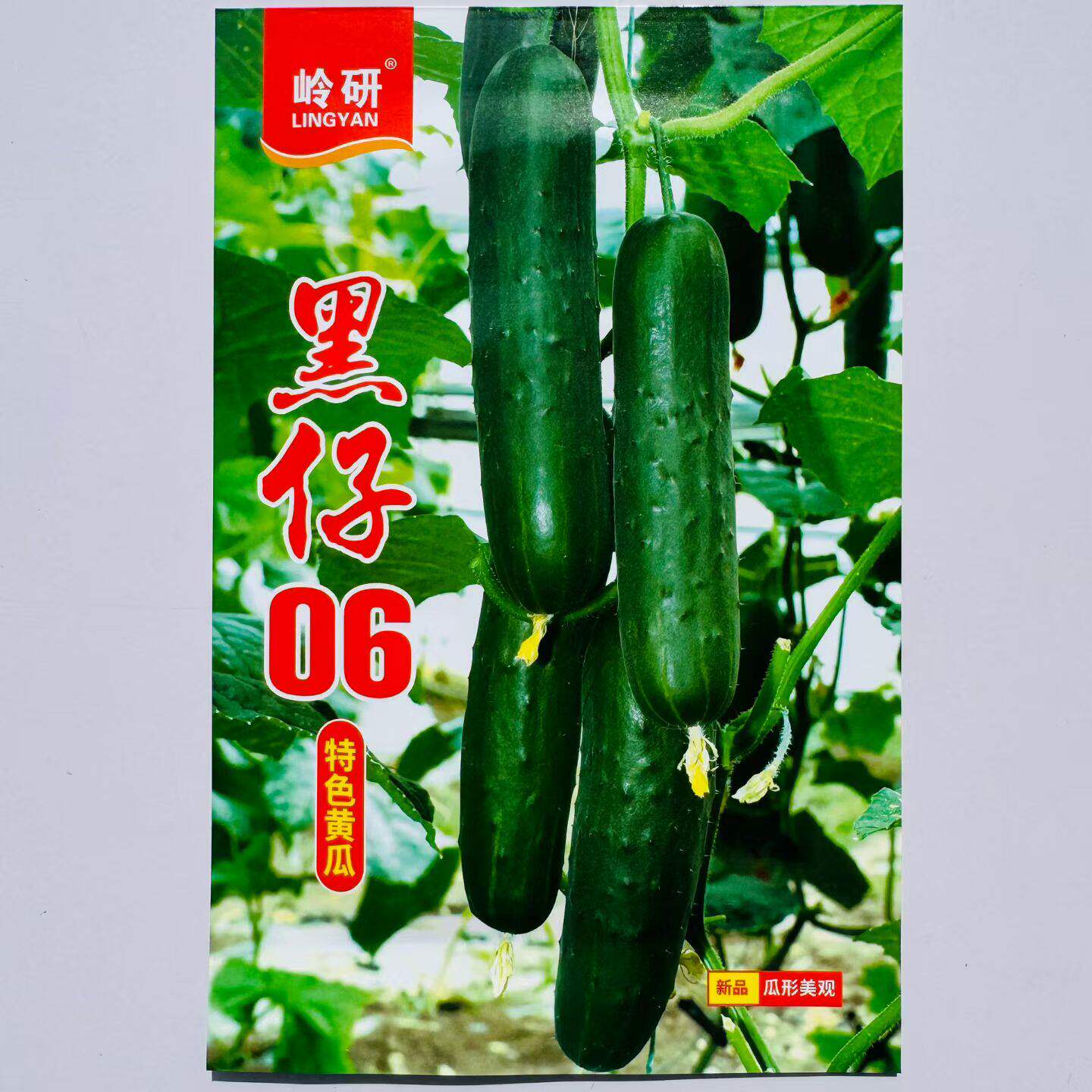黑仔06特色黄瓜种子岭研墨绿色长黄瓜籽特色黄瓜原包装强雌
