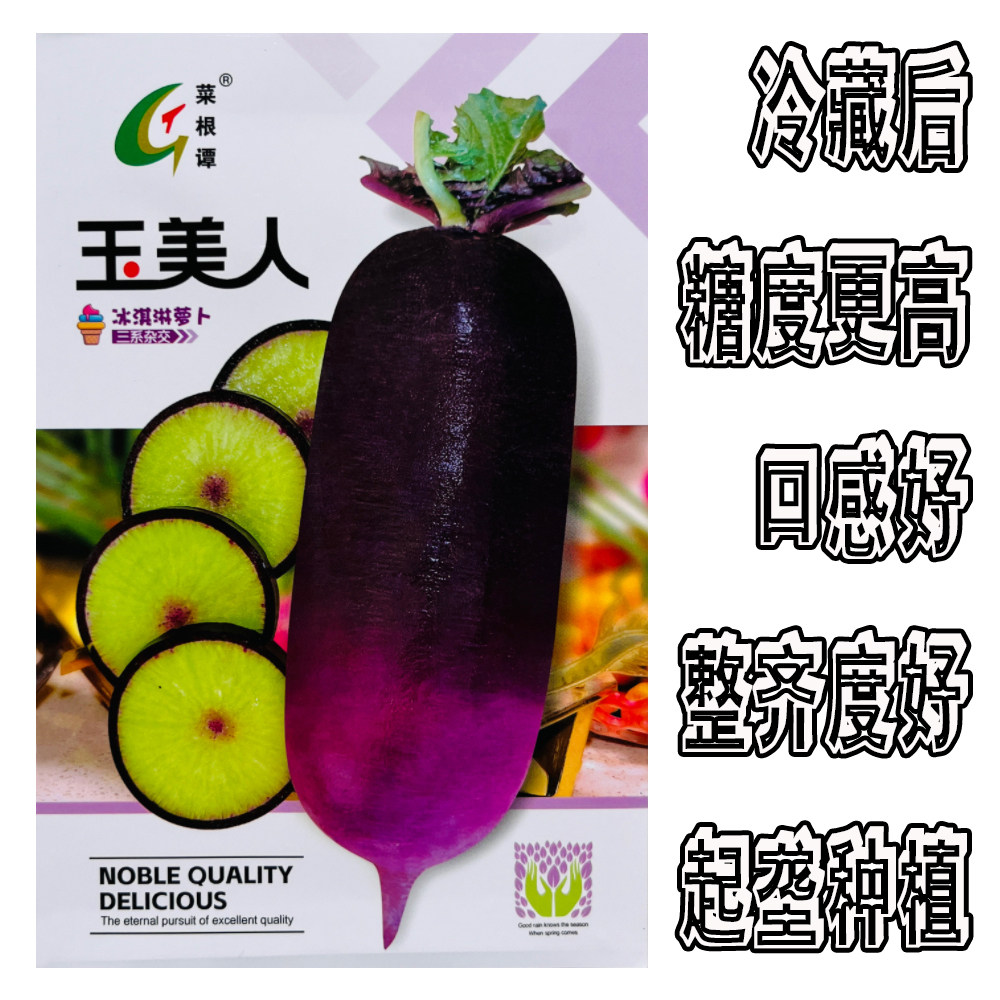 玉美人冰淇淋萝种子甜脆超甜可生吃水果萝卜种子紫皮红心萝卜种籽