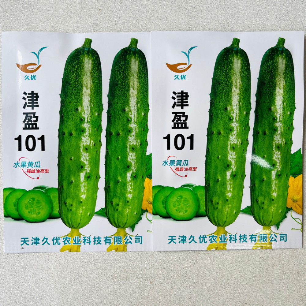 津盈101亮条黄瓜种子优质春秋棚种植强雌油亮抗病耐热黄瓜种