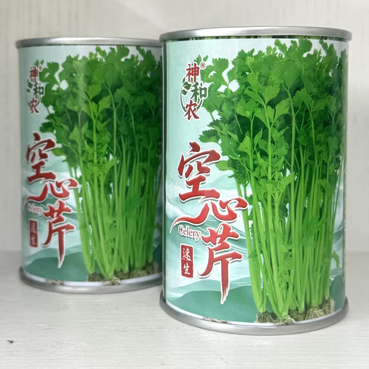 速生空心芹种子老品种小香芹种子空心绿杆香味浓郁老品种本地香芹