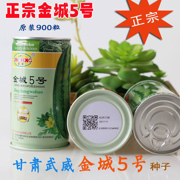 正宗金城5号西瓜种子特大甘肃硒砂瓜红瓤高产耐旱春季巨型懒汉瓜