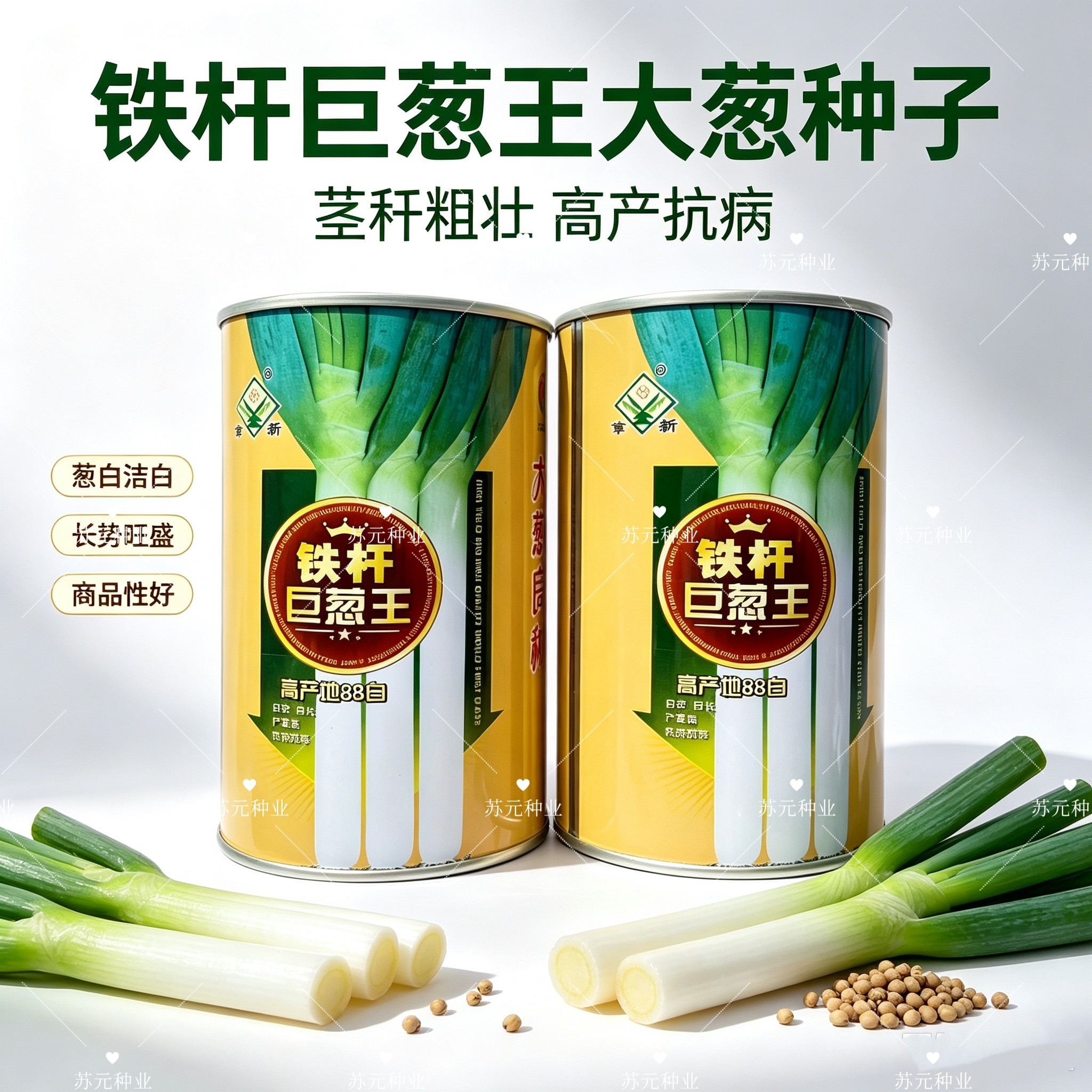 铁杆巨葱王种子 高产抗病抗寒白长优质章丘大葱种籽农家大田春秋