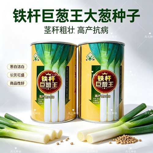 铁杆巨葱王种子 高产抗病抗寒白长优质章丘大葱种籽农家大田春秋