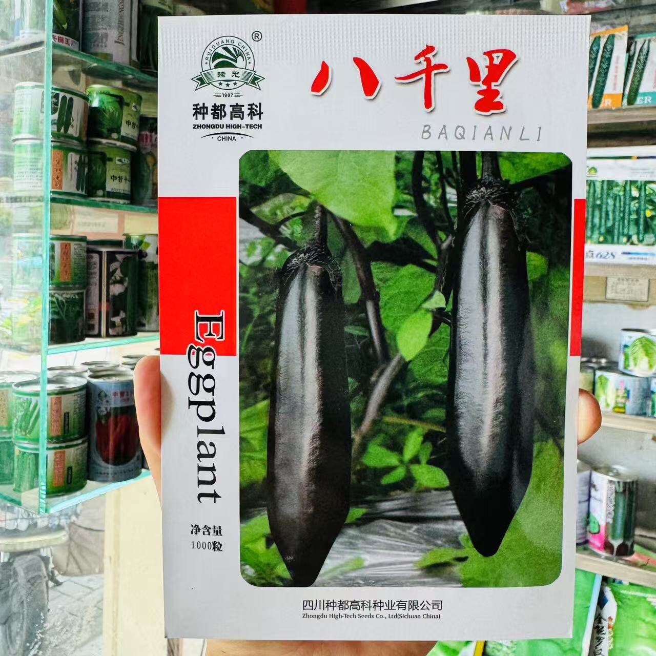八千里茄子种子高产抗病耐热耐寒农家菜园家庭种植茄子蔬菜种子籽