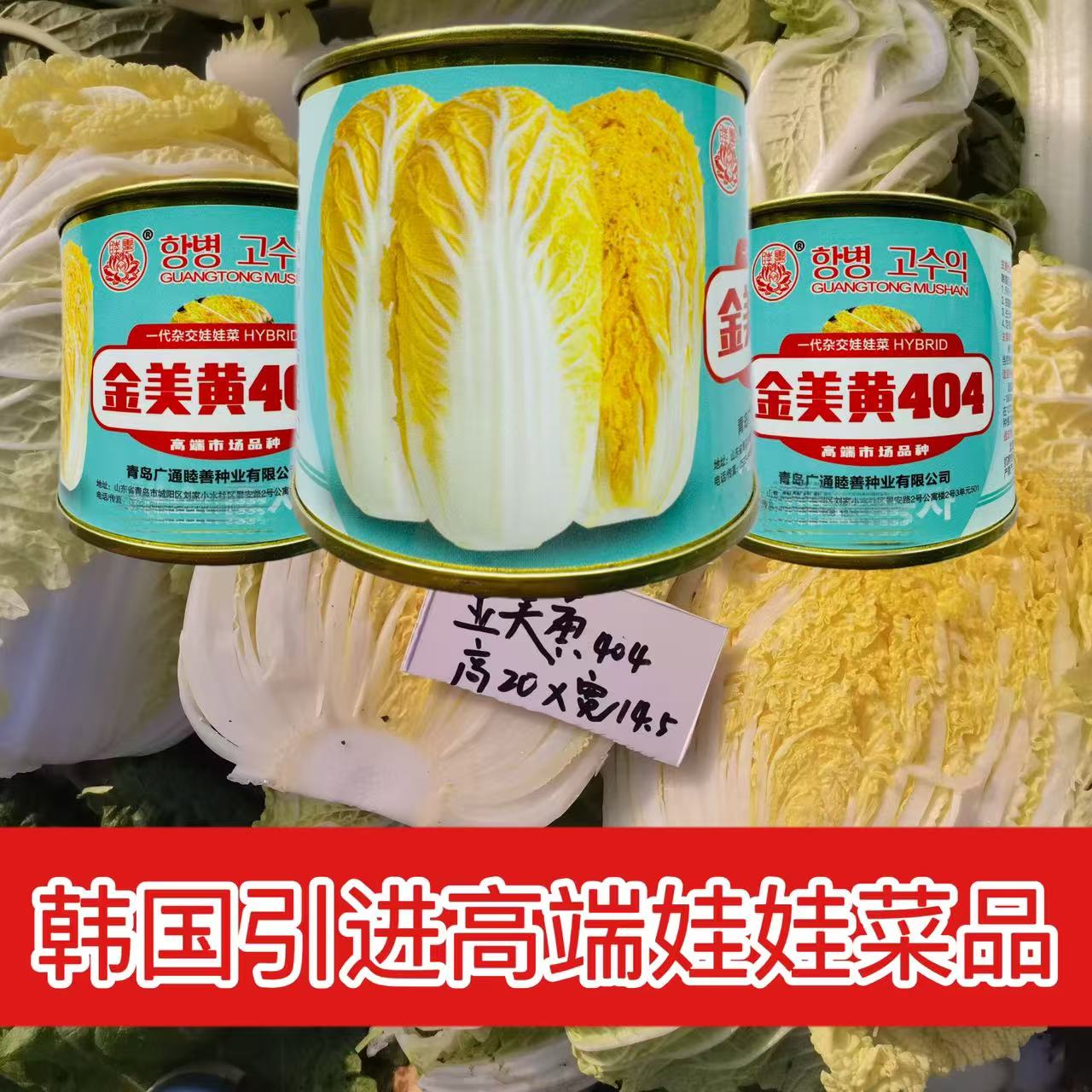 金美黄404黄心白菜种子韩国引进高端娃娃菜种子四季可种黄心娃