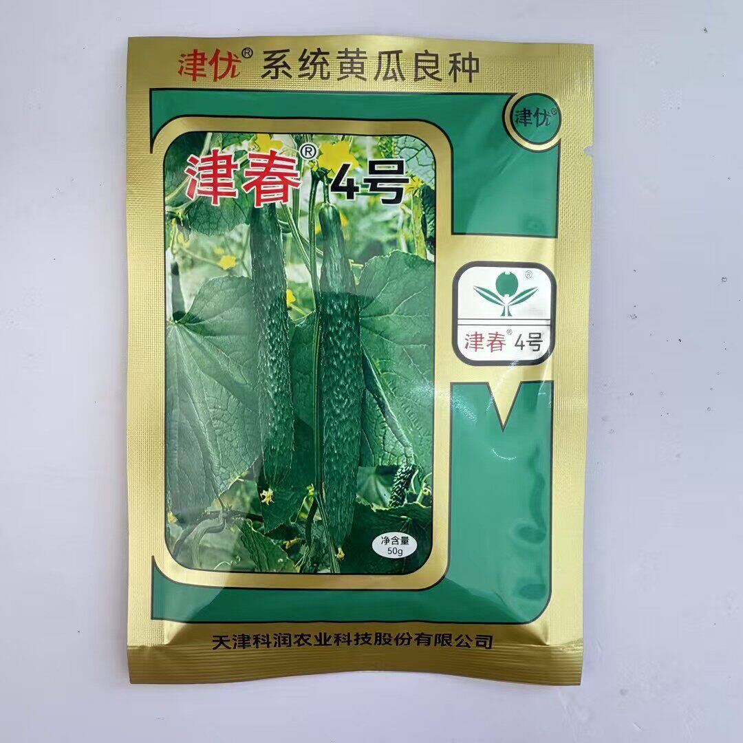 津春4号黄瓜种子高产绿心密刺大黄瓜耐热耐寒春夏秋播蔬菜种籽孑