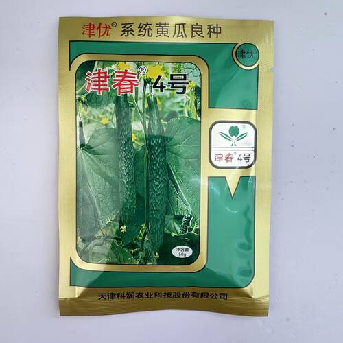 津春4号黄瓜种子高产绿心密刺大黄瓜耐热耐寒春夏秋播蔬菜种籽孑