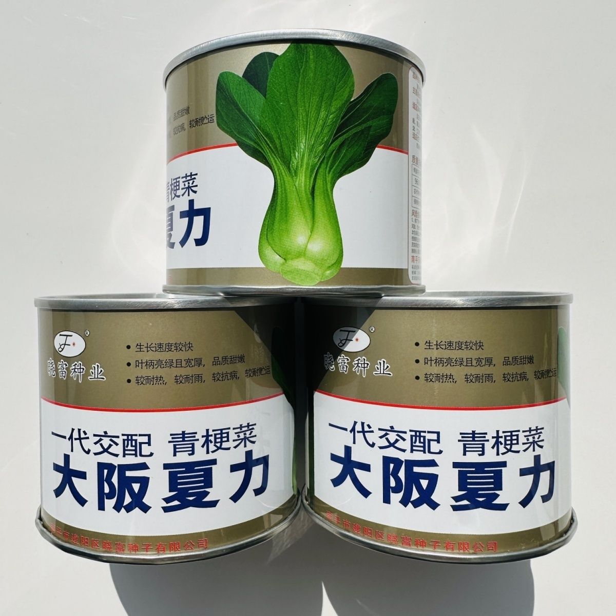 大阪夏力青梗菜种子晓富种业上海青油菜夏秋播阳台菜园青菜耐热