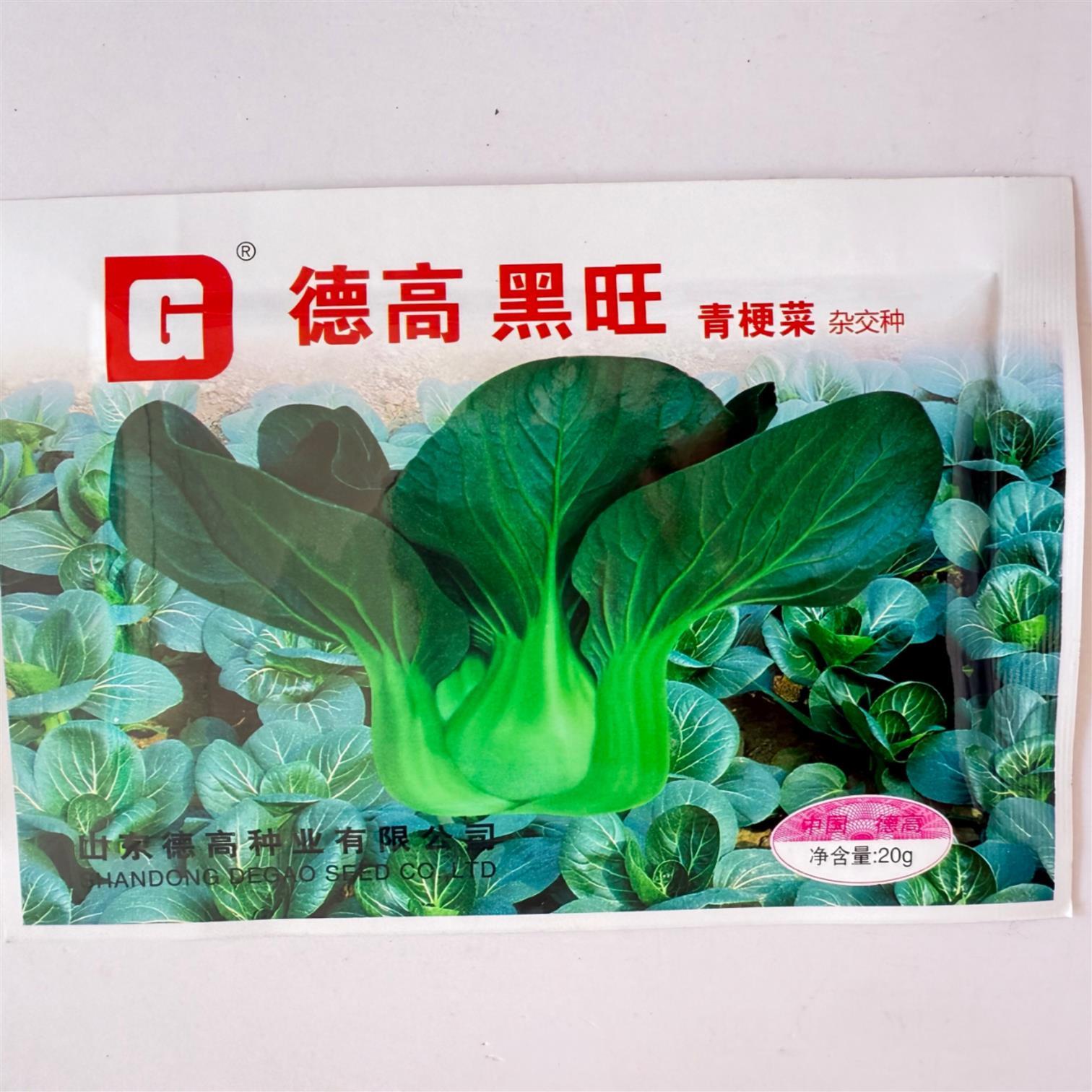 黑旺青梗菜种子高产抗病耐热耐寒农家菜园家庭种植蔬菜种子籽