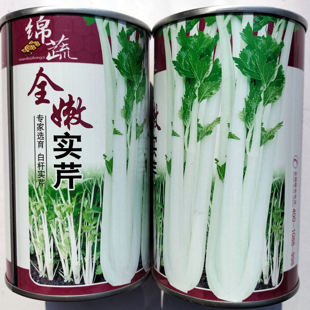 全嫩实芹种子白杆实心芹菜种籽耐热耐寒白香芹籽脆芹蔬菜种孑
