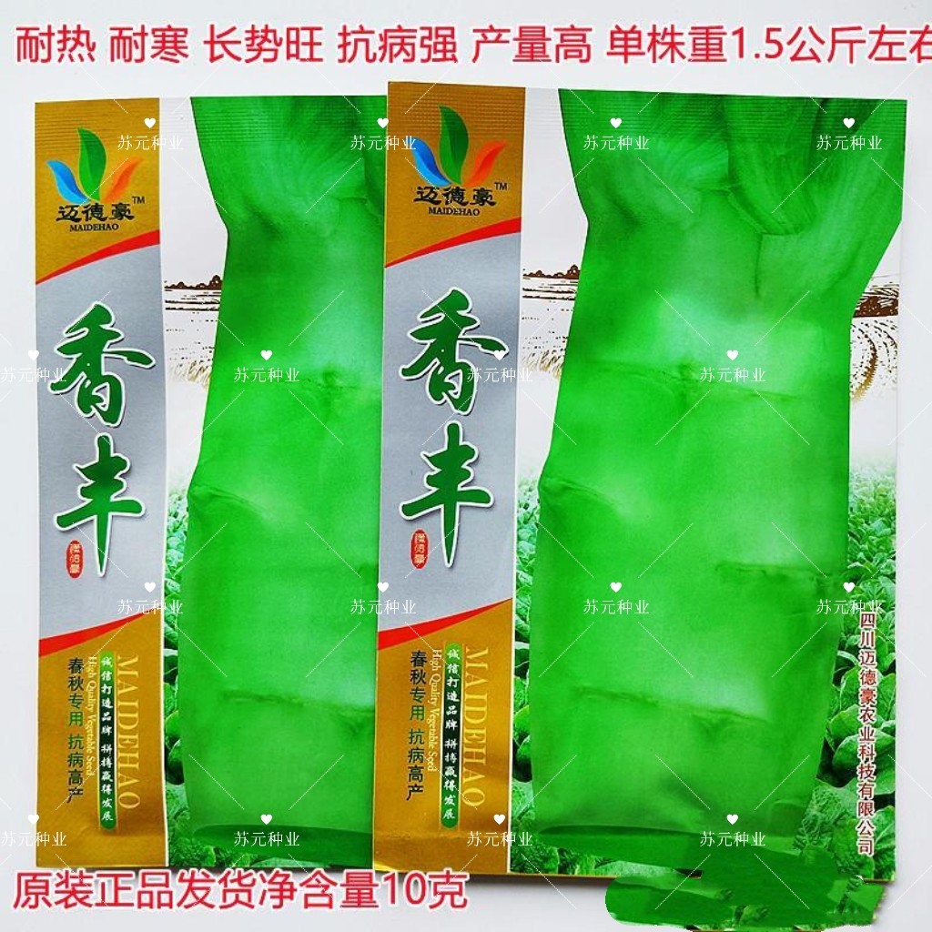 香丰莴苣种子抗病高产香莴笋种籽四季蔬菜籽种子莴笋莴苣种籽子种