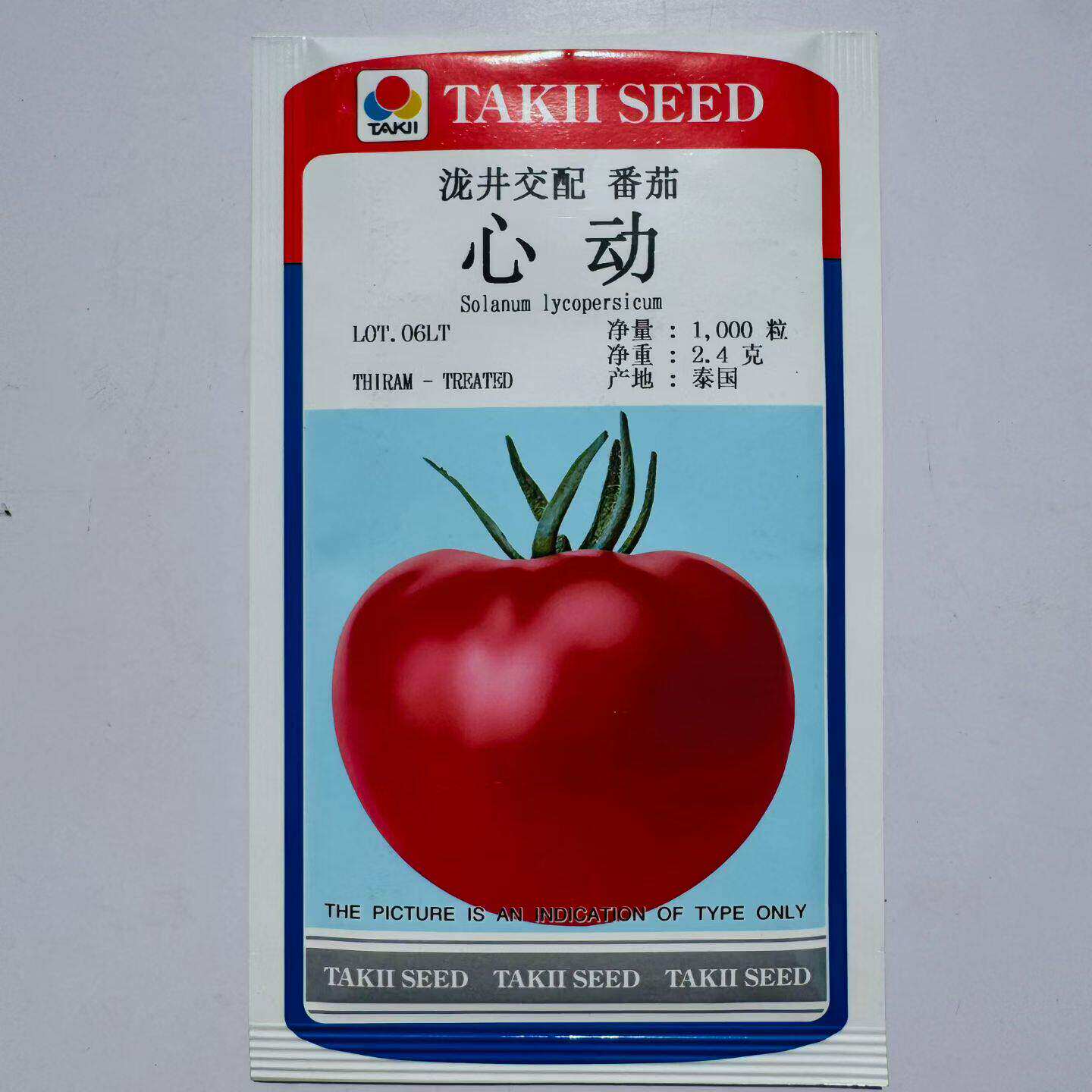 心动番茄种子日本泷井番茄籽