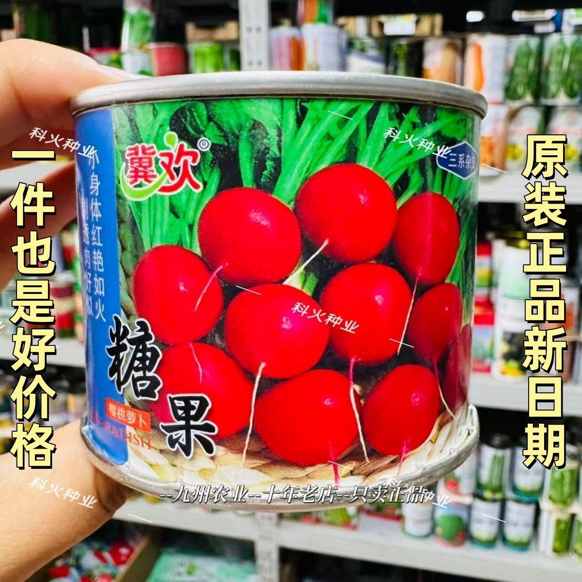 糖果樱桃萝卜种子三系杂交水果萝卜种子酥脆多汁早熟樱桃萝卜种子