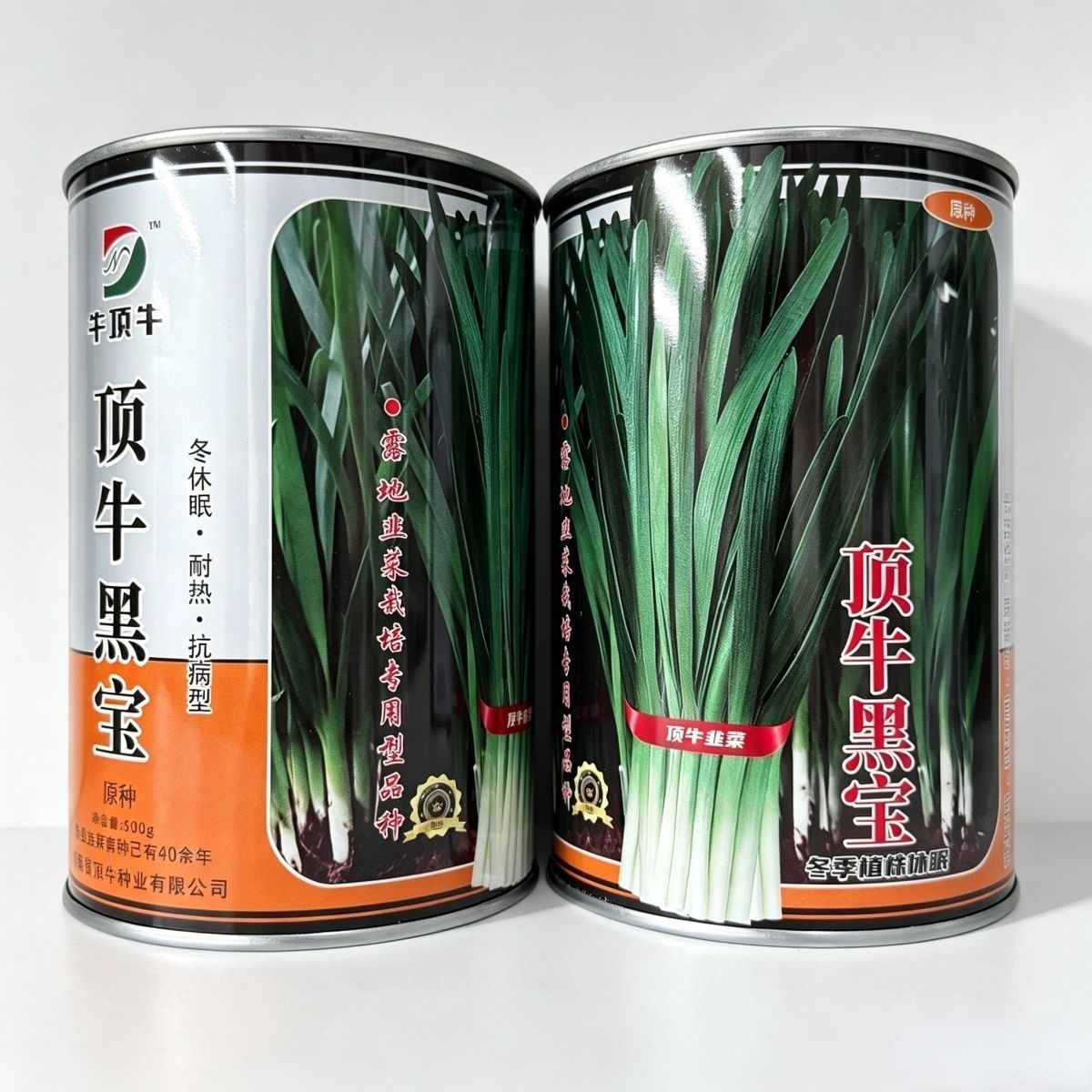 黑宝韭菜种子株型直立叶片深绿纤维少冬休眠耐热抗病韭菜种籽