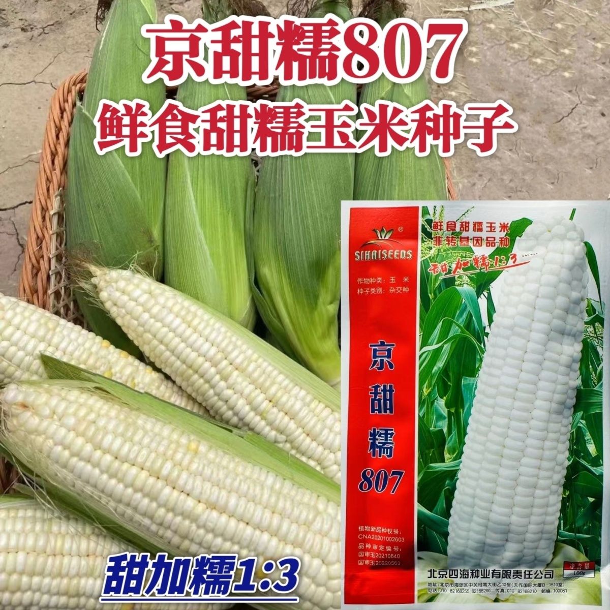 北京四海京甜糯807甜糯玉米种子甜加糯玉米种子鲜食大棒高甜粘香