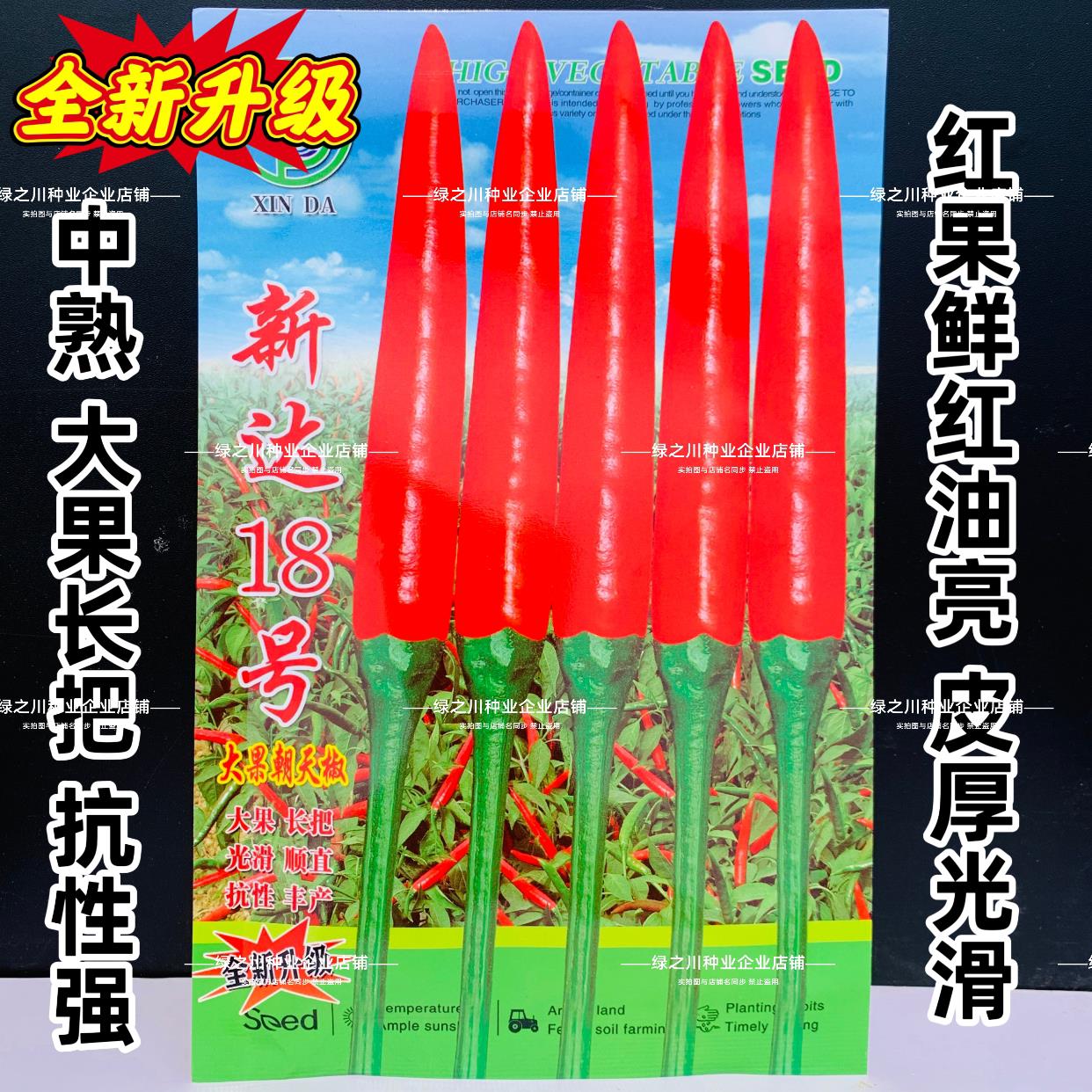 升级新达18号朝天椒种子大果长把光滑顺直辣椒鲜红朝天椒种籽高产