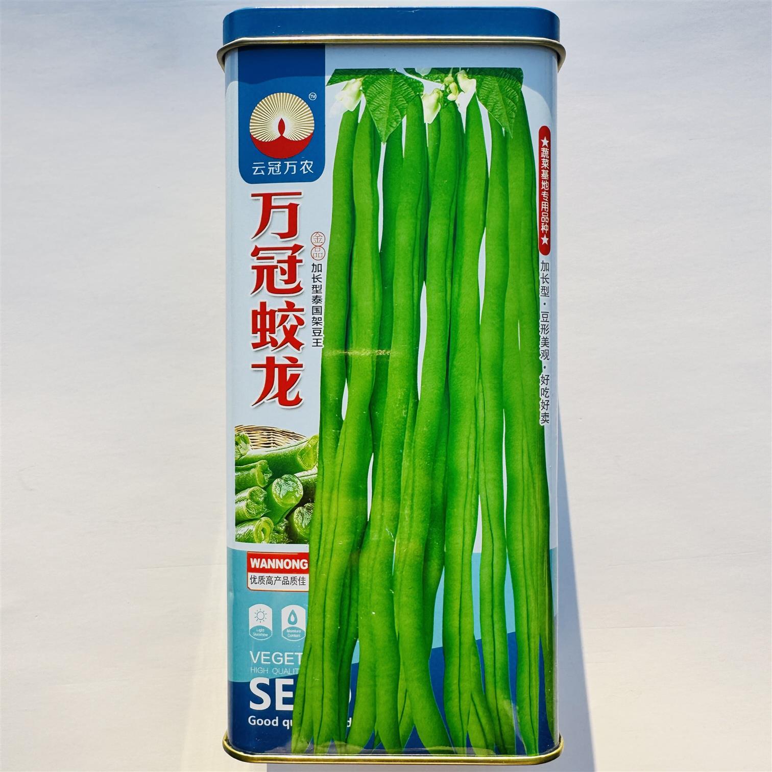 万冠蛟龙架豆种子中熟蔓生浅绿荚鲜嫩无纤维春秋加长型泰国架豆王