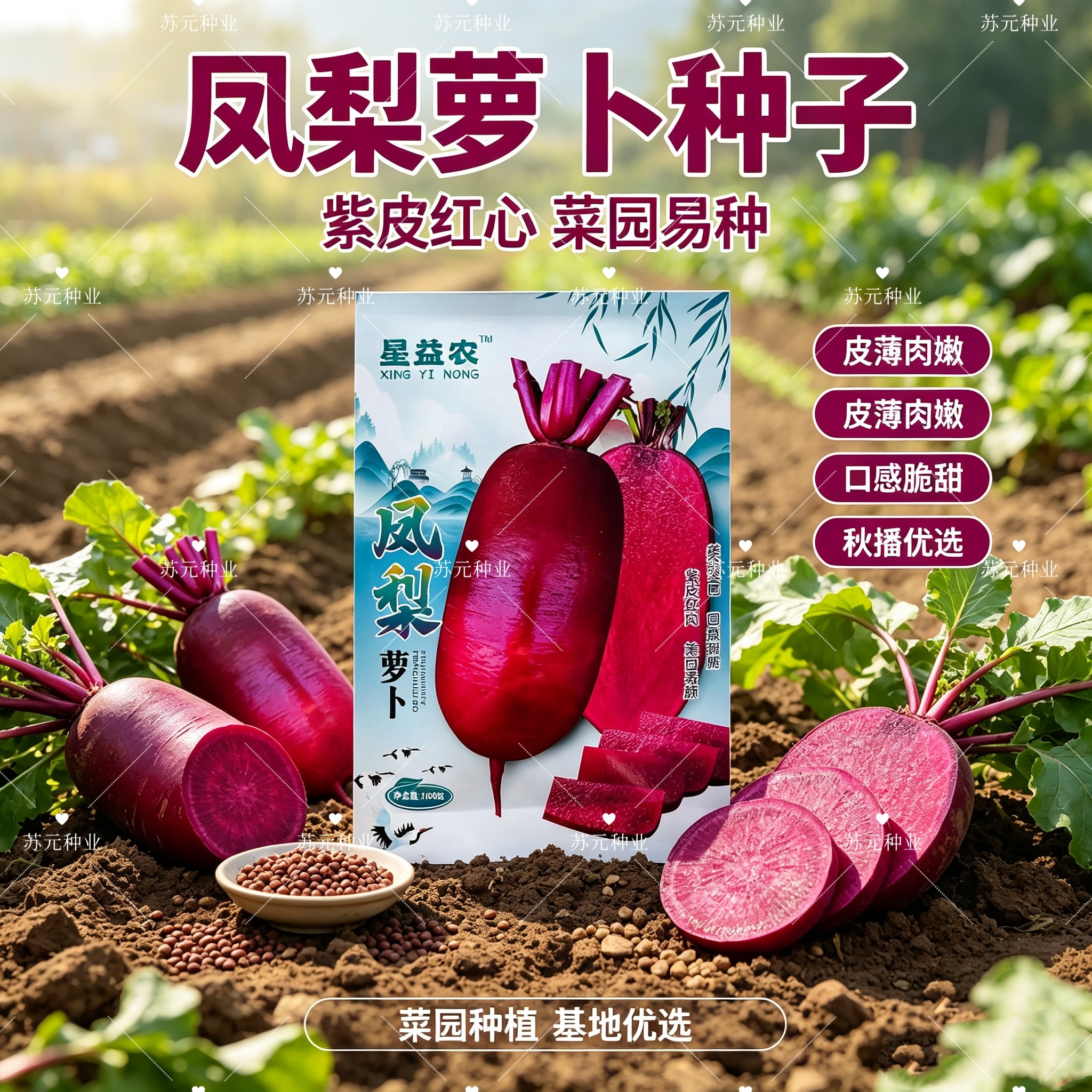 凤梨水果萝卜种子沙窝甜脆型萝卜种籽子红心红皮春秋四季蔬菜种子