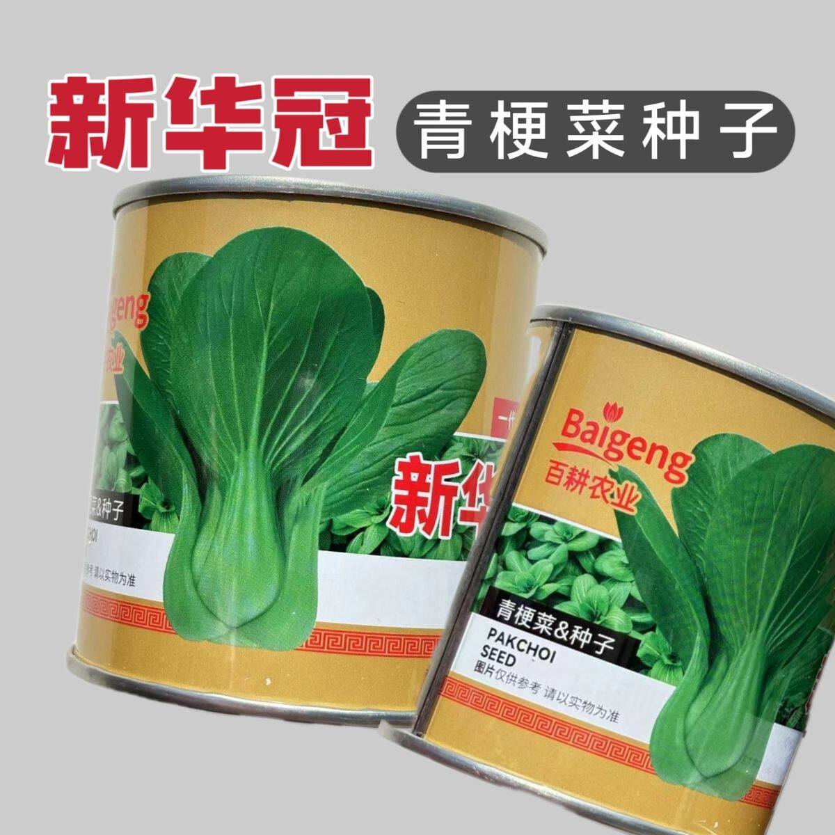 新卡其华冠小白菜种子青梗菜抗病抗热耐寒耐雨四季播盆栽小青菜种