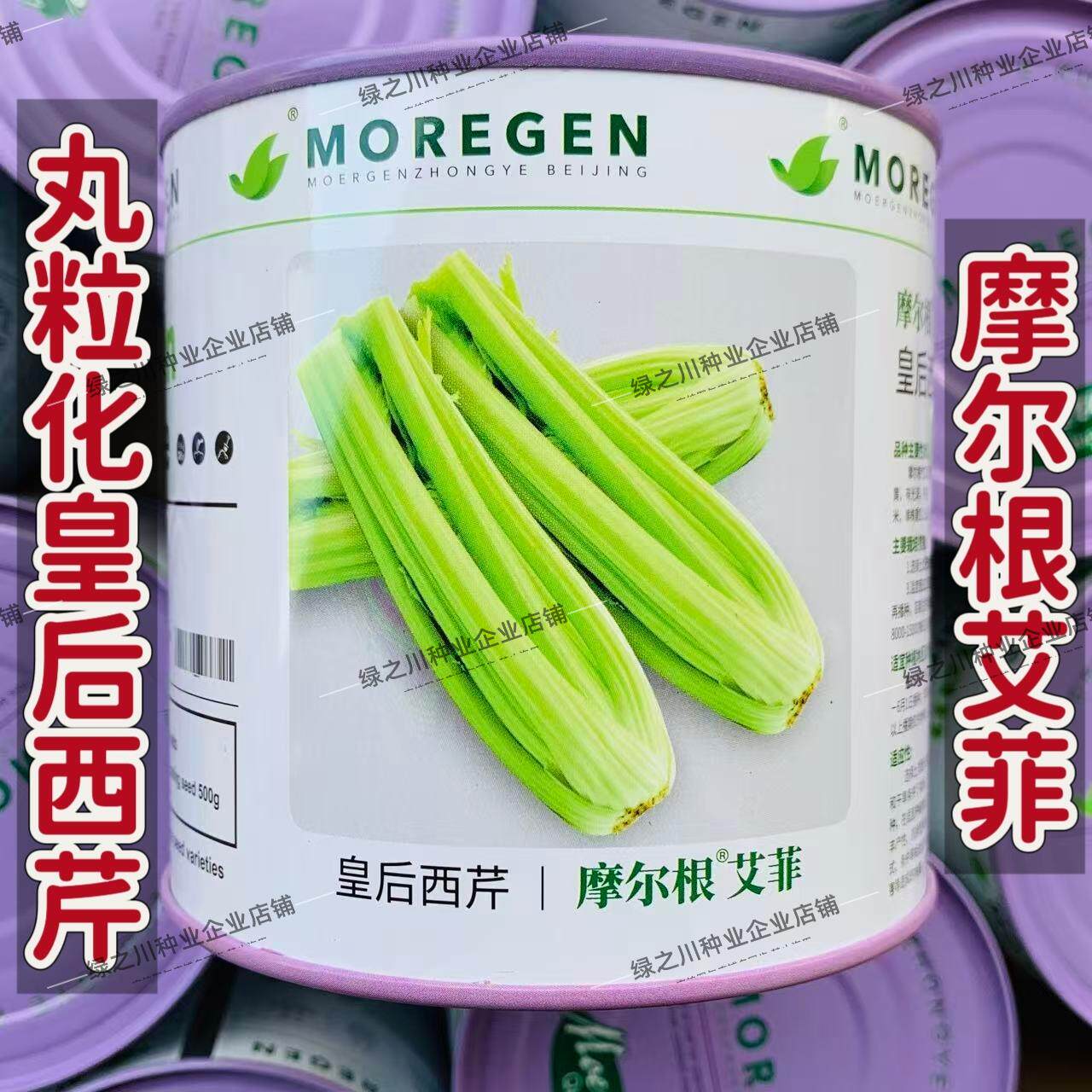 摩尔根艾菲皇后西芹种子丸粒化芹菜种籽早熟四季不空心西芹种籽