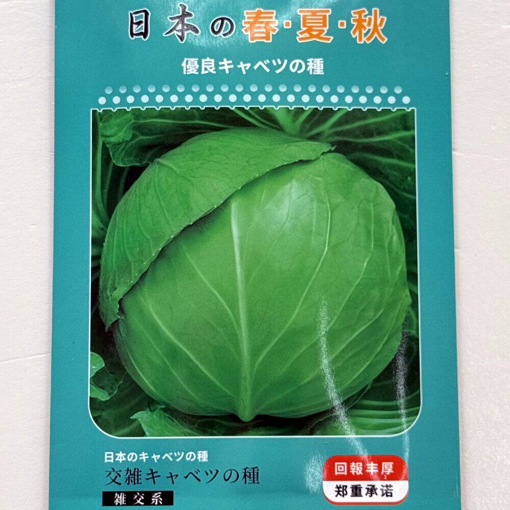 日本春夏秋杂交甘蓝种子抗病中早熟包心菜种籽农家春夏秋季播种孑