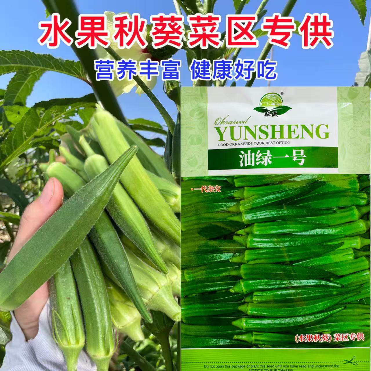 油绿一号水果秋葵种子 杂交一代油绿明亮水果秋葵种子高产耐老化