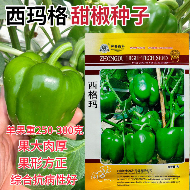 西格玛甜椒种子青辣椒大甜椒种籽灯笼方椒红菜椒蔬菜孑高产籽种子