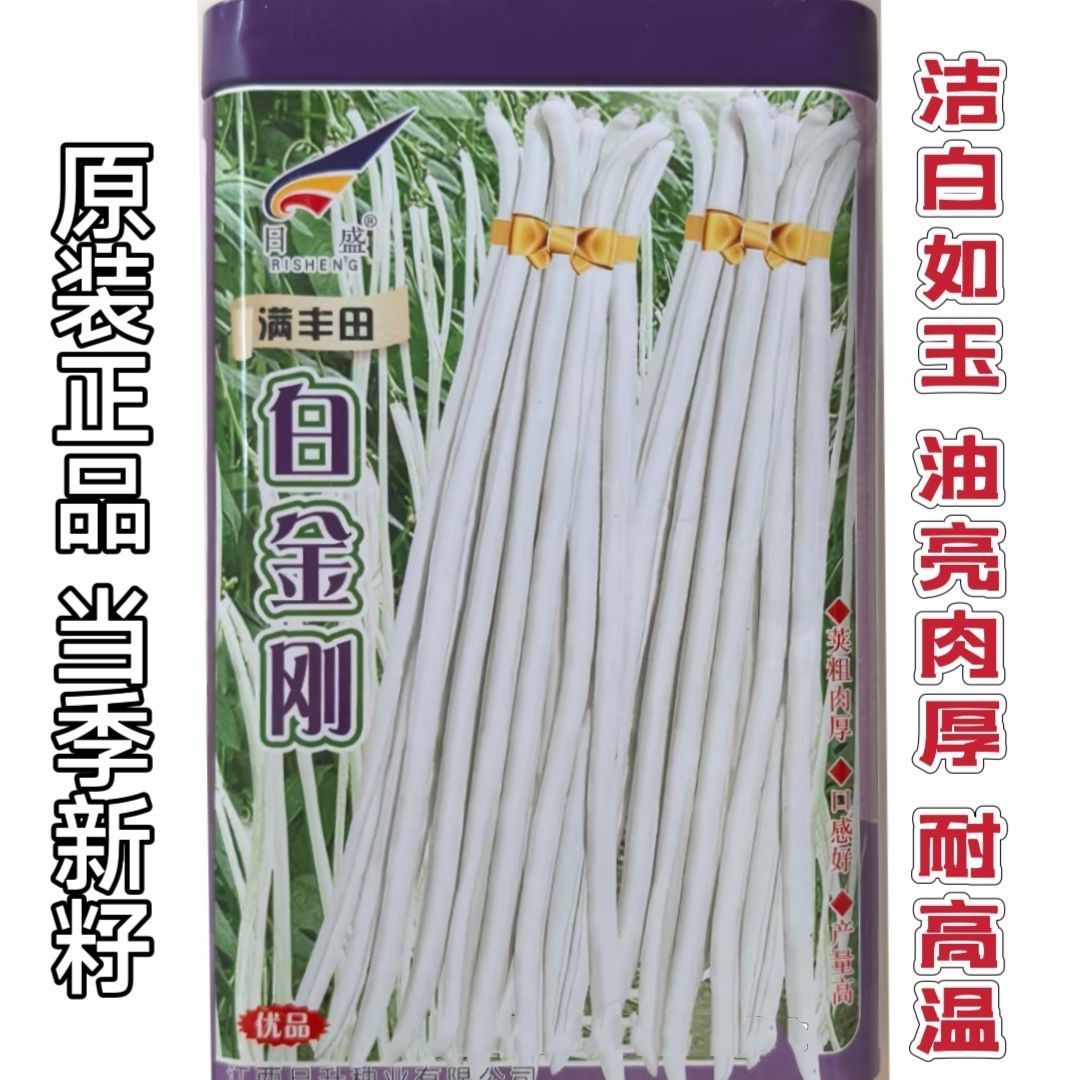 日盛白金刚白豇豆种子早中熟耐高温白豆角种籽春夏季播长豇豆种孑