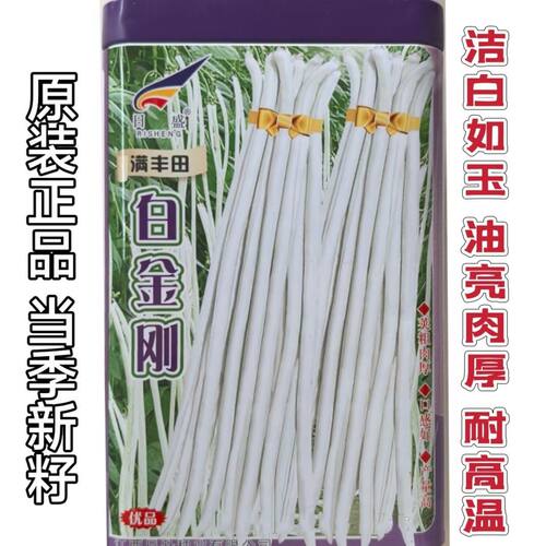 日盛白金刚白豇豆种子早中熟耐高温白豆角种籽春夏季播长豇豆种孑