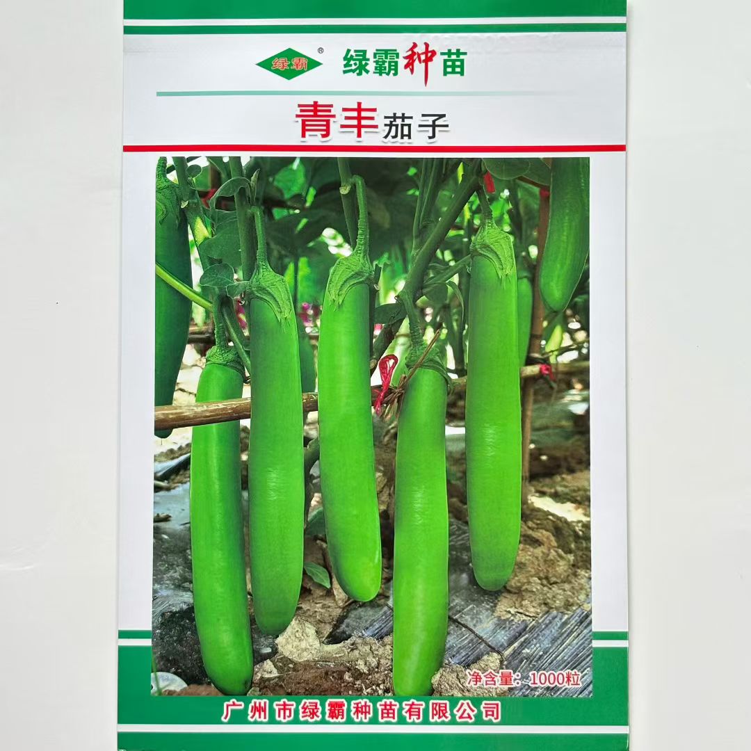 绿霸青丰大肉青长茄种子中早熟绿长茄种子春秋大田适广性强茄子籽