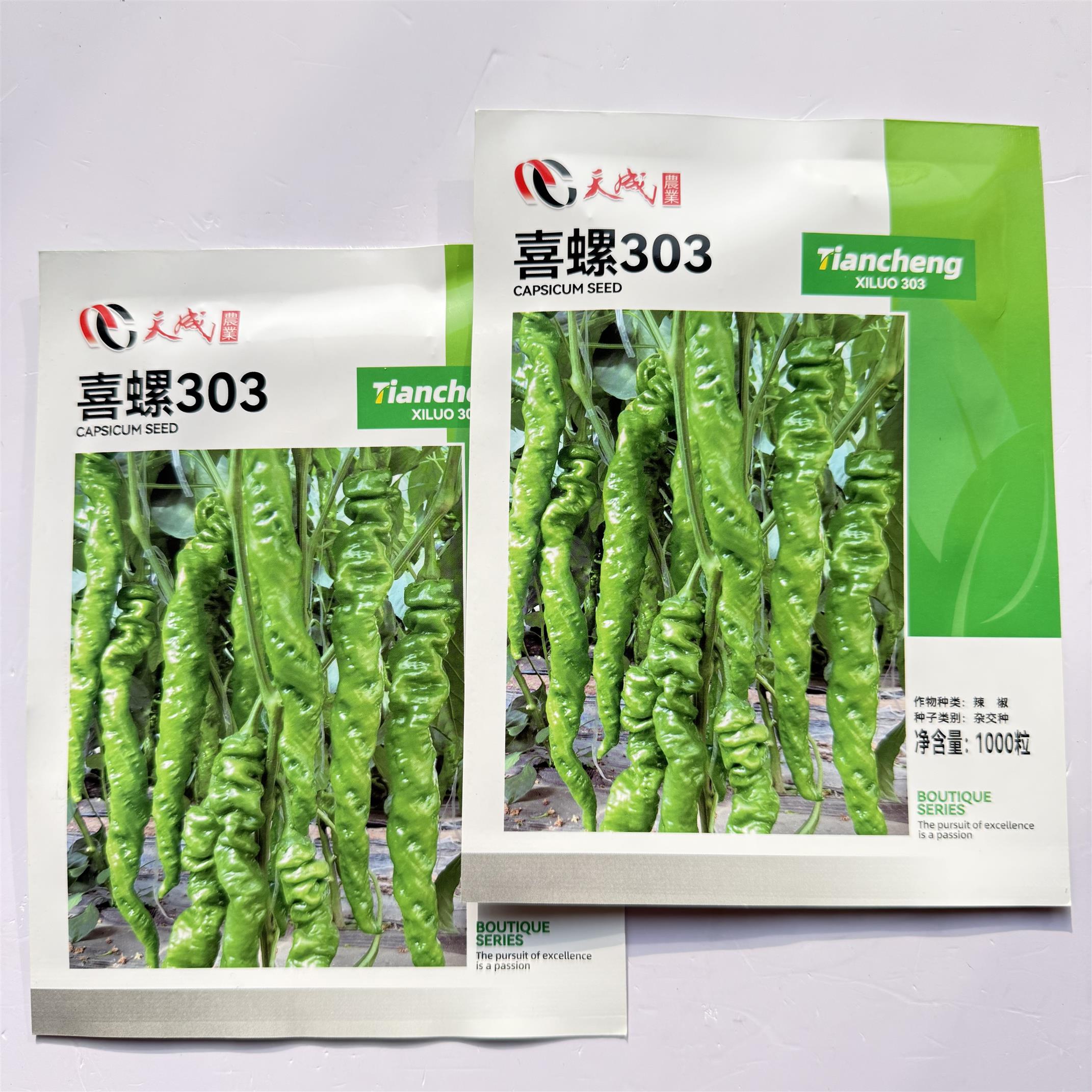 喜螺303早熟全螺麻面螺丝椒种子果绿顺直螺旋度好脆甜香辣春秋播