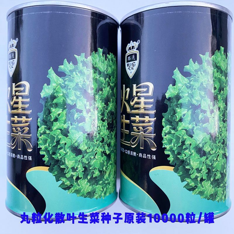 璐通火星丸粒化生菜种子叶片多邹亮绿有光泽口感清爽脆嫩春夏秋播