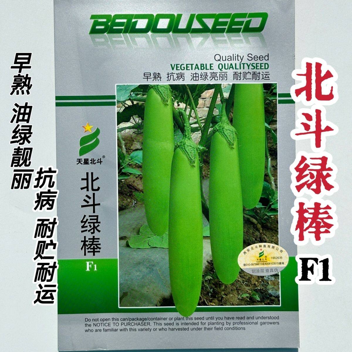 北斗绿棒茄子种子早熟油绿长棒茄子种子抗病绿长茄子种子大棚露地