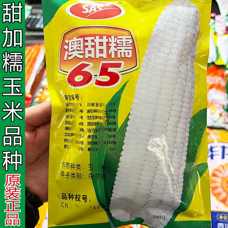 澳甜糯65糯玉米种子 早熟大棒甜加糯春秋白糯粘玉米苞米种子籽孑