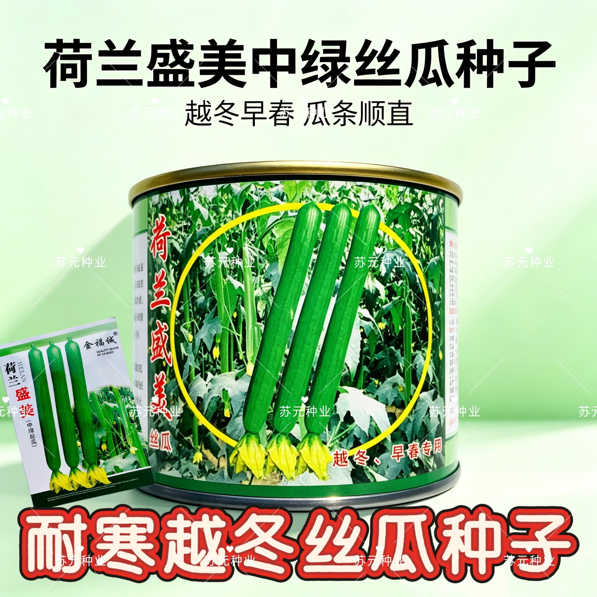 荷兰盛美油亮长丝瓜种籽高产耐寒早熟油亮中绿大田基地专用种孑